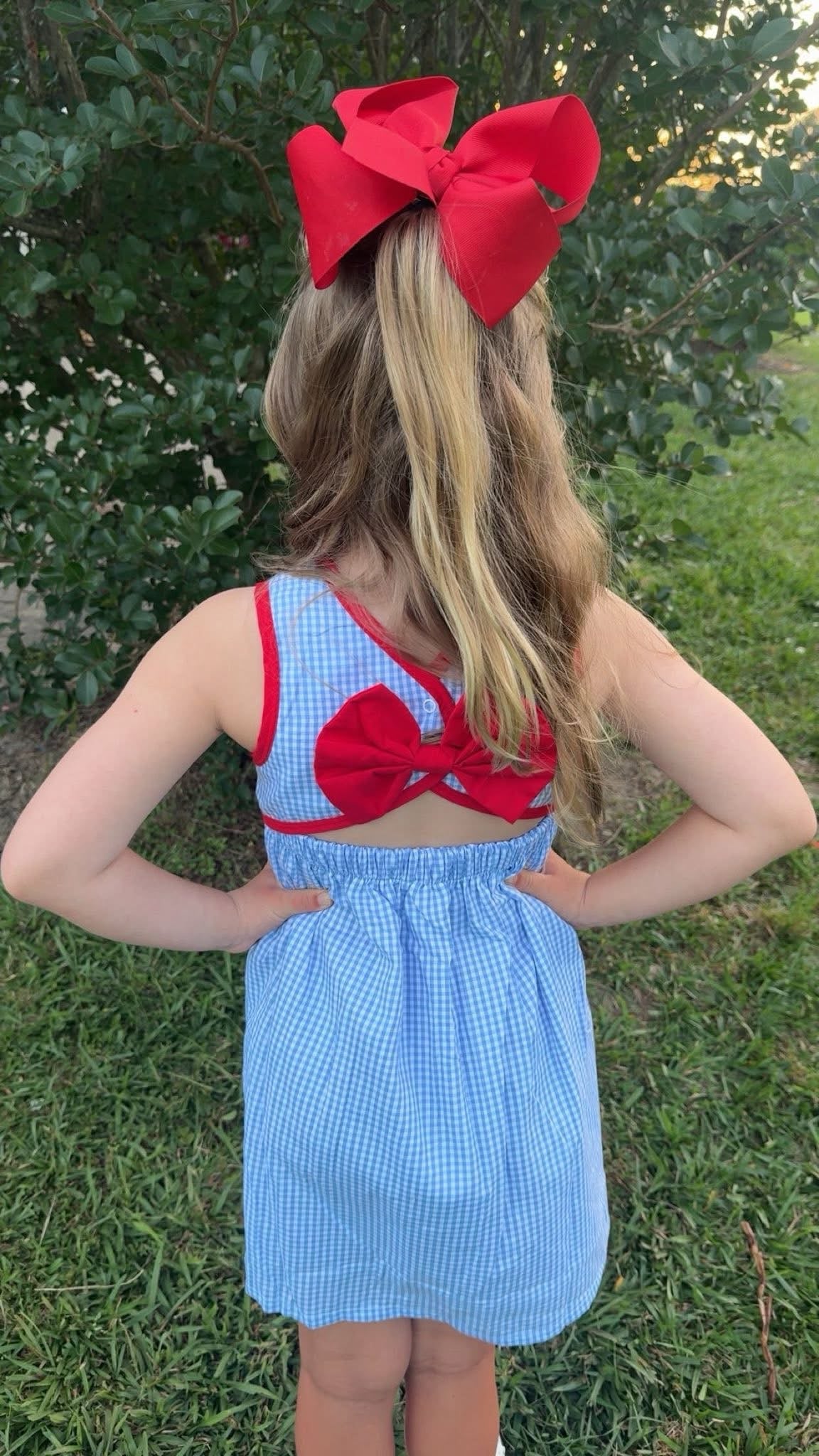 All American Bow Gingham Dress